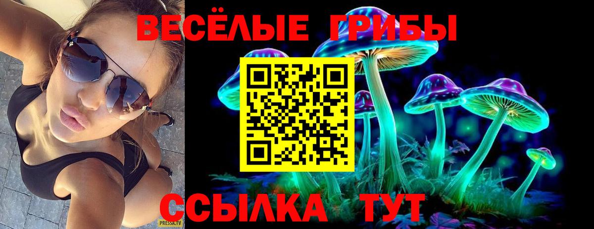 Псилоцибиновые грибы Psilocybine cubensis  Вход с VPN  Спасск-Дальний 