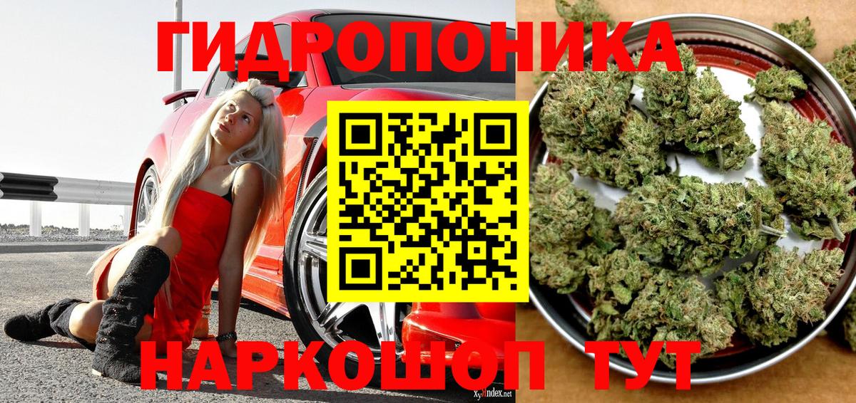 Марихуана Amnesia  Вход с VPN  МАРИХУАНА тримм  Спасск-Дальний  Бошки Шишки VHQ 